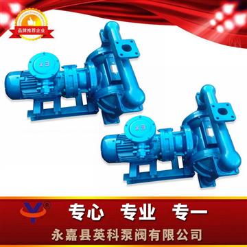 襯氟電動隔膜泵